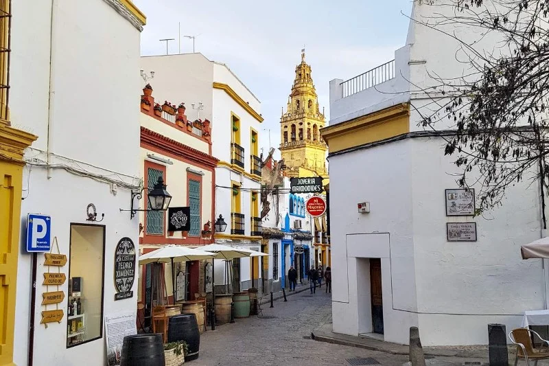 Seville: Plaza de España, the Santa Cruz Quarter and the Cathedral with the Giralda — ticket and guide included 2