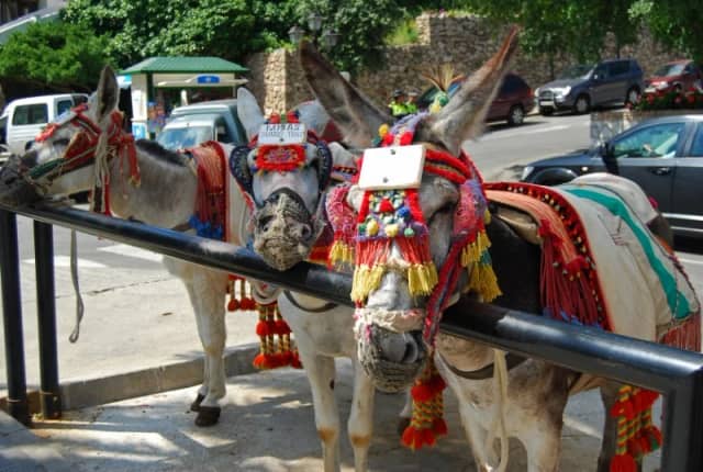 Mijas, Marbella y Puerto Banús: pueblo blanco, casco antiguo y marina de lujo en un día — Burro-taxi, en burro por Mijas