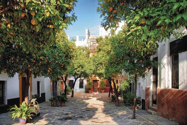 Sevilla: Plaza de España, barrio de Santa Cruz y catedral con la Giralda — entrada y guía incluidas — Barrio de Santa Cruz