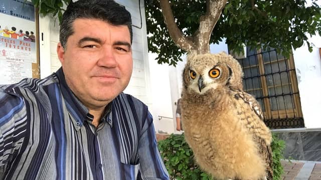 Exhibición de aves rapaces en Alozaina (2021)