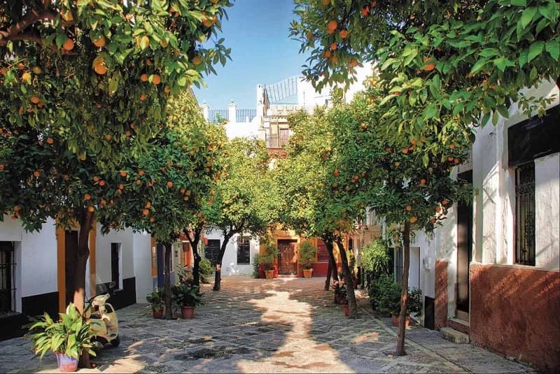 Sevilla: Plaza de España, barrio de Santa Cruz y catedral con la Giralda — entrada y guía incluidas — Barrio de Santa Cruz