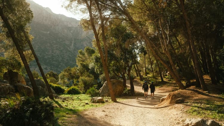 Caminito del Rey: senderismo guiado por pasarelas a 100 m sobre el desfiladero + visita a Ardales 3