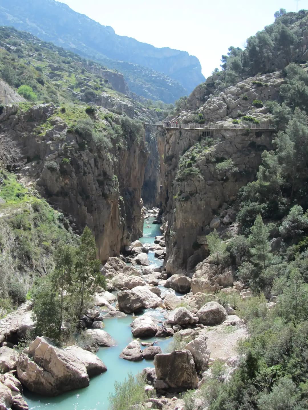 Caminito del Rey: senderismo guiado por pasarelas a 100 m sobre el desfiladero + visita a Ardales — Las aguas turquesa del río Guadalhorce y regreso