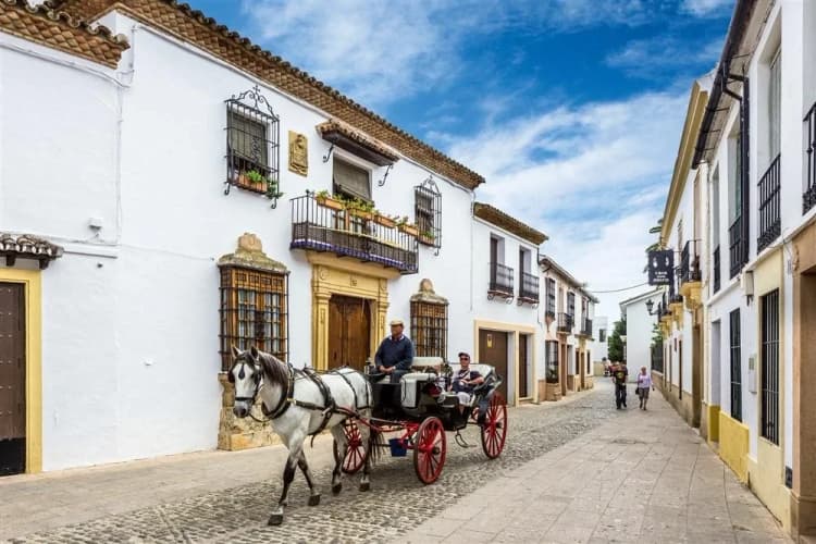 Ronda: la ciudad sobre el abismo — visita con guía local y entrada a la plaza de toros